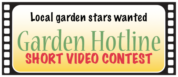 2016 Video Contest_Online Banner