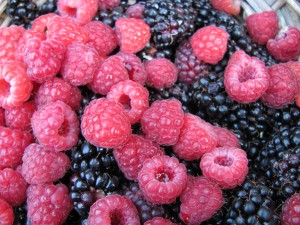 Raspberries and Blackberries!